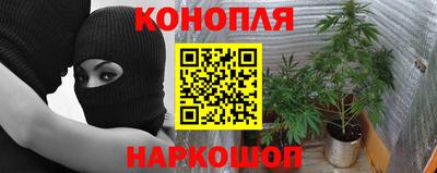 ешки Тверь