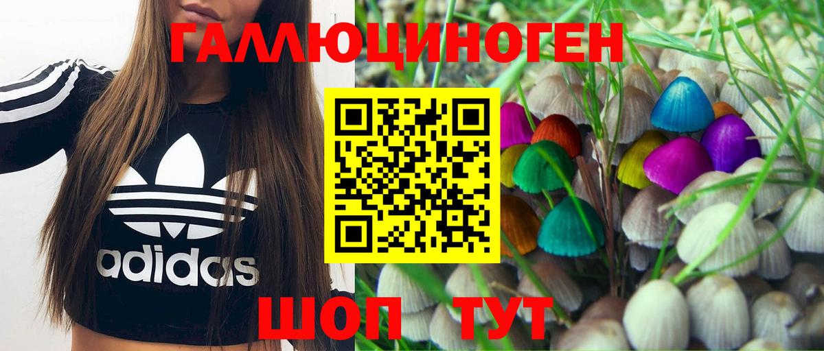 Галлюциногенные грибы MAGIC MUSHROOMS  Вход с VPN  Можга  купить  сайты  Псилоцибиновые грибы мицелий 