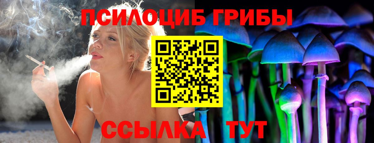 Псилоцибиновые грибы Magic Shrooms Можга
